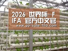 环境展示六