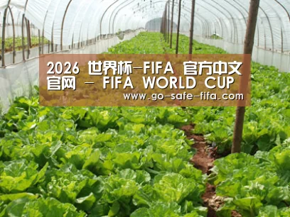 种植基地五