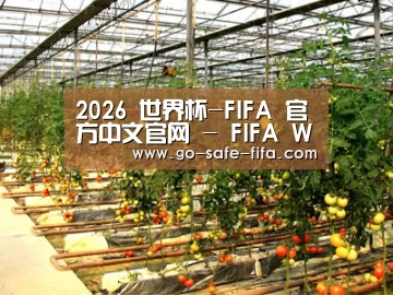 种植基地二