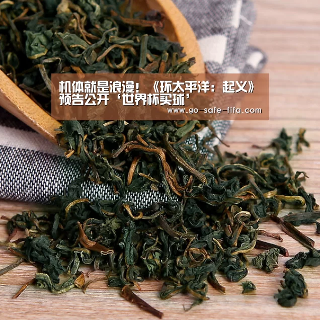 机体就是浪漫!《环太平洋:起义》预告公开‘世界杯买球’(图2) 2026世界杯官网