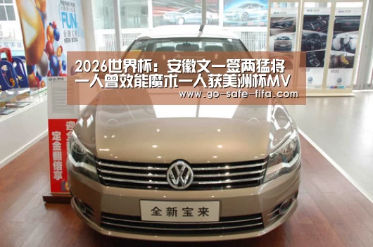 2026世界杯:安徽文一签两猛将 一人曾效能魔术一人获美洲杯MVP(图2) 2026世界杯官网