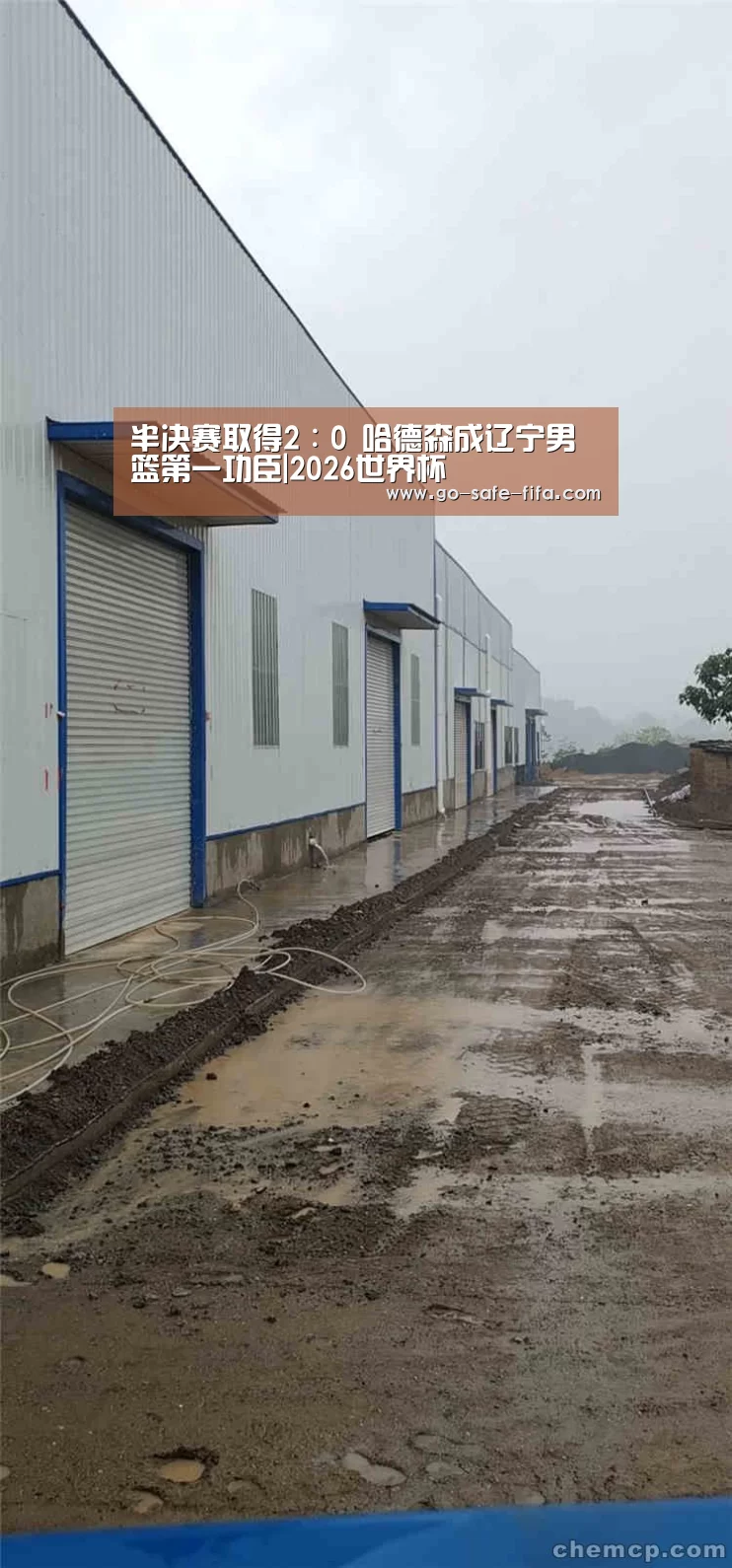 2026世界杯官网